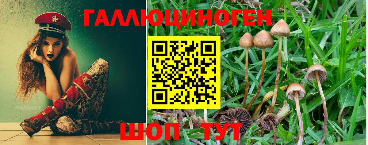 Псилоцибиновые грибы GOLDEN TEACHER  Вход с VPN  Советская Гавань 