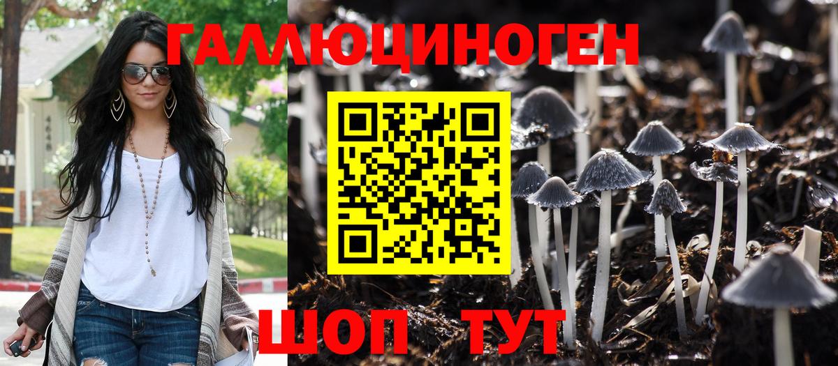 Псилоцибиновые грибы мицелий Советская Гавань